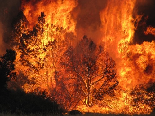 AZ Prepares for 2012 Wildfire Season