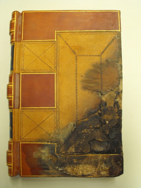 Mold spores are embedded throughout this copy of Tombstone's earliest city ordinance book. The state says many historical documents are at risk of being destroyed.