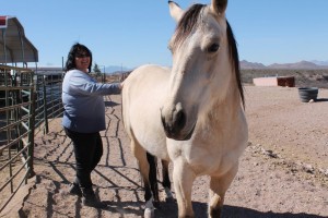 Lilla DeLuca, owner of the Rocking R. Equine, pets her horse Buttercup at the stables at the stables in the assisted learning center.
