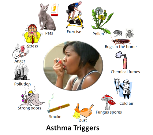 Cada año se les diagnostica asma a 120.000 niños en Arizona y 3.000 de éstos son internados costándoles millones de dólares en gastos médicos a los Arizonenses. (Foto por cortesía de Wikipedia Commons usuario 7mike5000 y autorizado bajo Creative Commons 2.0)