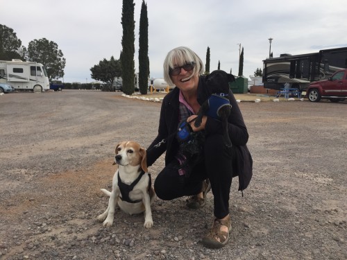 Francine Nantais, a yearly visitor from British Columbia with her  2 rescue dogs. They visit Naco to escape the Canadian winter.(Photo by: Linda B. Padilla/Arizona Sonora News) 