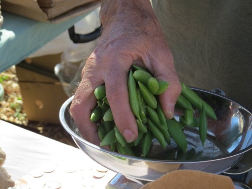 Jack Lemons weighs a handful of snap peas. (Photo by: Kaleigh Shufeldt/Arizona Sonora News) 