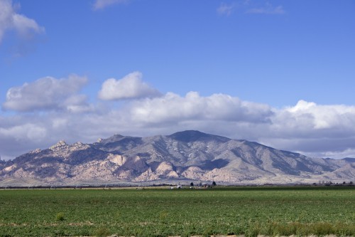 The Dragoon Mountains stand imposingly to the west of Curry Farms. Photo by Gareth Farrell/Arizona Sonora News Service