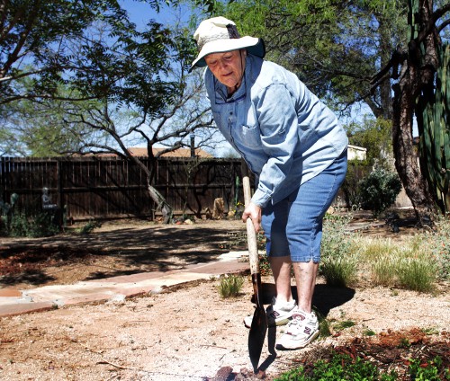 Junardi Armstrong removes unwanted plants from her garden, Monday, March 23, 2015, in Tucson, Ariz. Desert landscaping requires less maintenance than lawns while being water efficient. (Photo by Alamri/ Arizona Sonora News Service) 