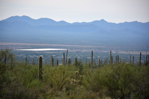 El Proyecto de Almacenamiento y Recuperacion en el Centro de Avra Valley visto desde la Sierra de Tucson al oeste de la ciudad. Su construcción comenzó en 1996 y se completó en el 2002. (Fotografía por Jorge Encina/ Arizona Sonora News)
