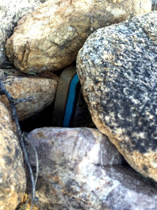 This rusted Altoids can serves as a cache in Southern Arizona's Catalina State Park. Photo by: Skyler Brandt/Arizona Sonora News