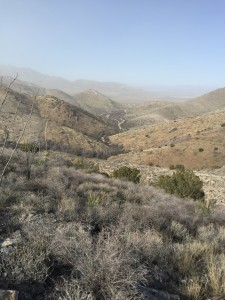 Chiricahua Mountains (Photo by: Zach Armenta| Arizona Sonora News)