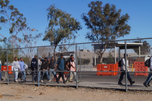 Fieldworkers returning to Mexico through the San Luis port of entry. Photo by: Ashley McGowan/ Arizona Sonora News