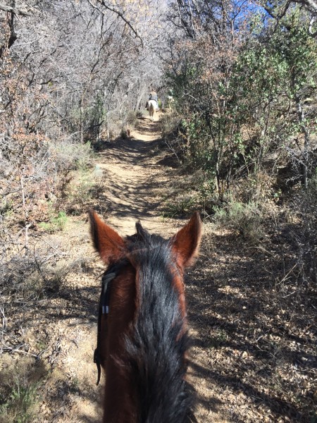 Apache Pass (Photo by: Zach Armenta| Arizona Sonora News)