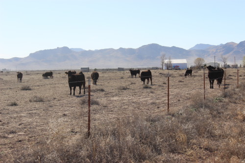 With AZ farmers aging fast, who will take over the farm?