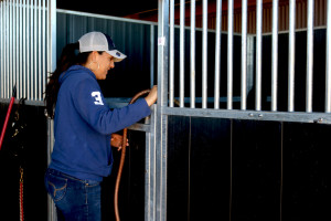 Monica Ortega, Rillito's leading horse trainer for the last three years, watering her ponies. Photo by Alexa Portillo/ Arizona Sonora News Service