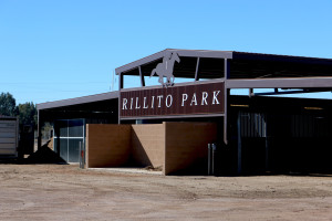 The new barns on the west side of the Rillito Racetrack. Rillito has been open since 1943, and is struggling to stay open. Photo by Alexa Portillo/ Arizona Sonora News Service