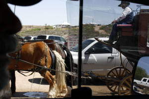 Mike Carrafa drives slowly through a parking lot for visitors that carriage drivers bring horses to relieve themselves. (Photograph by Devon Confrey / Arizona Sonora News).