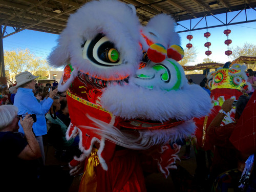 One of the lions during the Chinese New Year celebrations performance at the Tucson Chinese Cultural Center. (Photo by: Sara Cline/El Independiente)