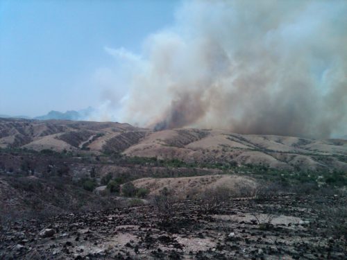 A wildfire rages on a nearby ridge in June of 2011. (Courtesy of Dan Bell)