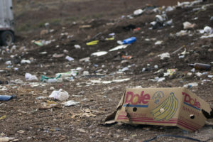 An empty Dole’s banana box sits in the middle of the Rio Rico landfill in Nogales, Ariz. on March 7, 2016. (Photo by Tobey Schmidt / Arizona Sonora News)