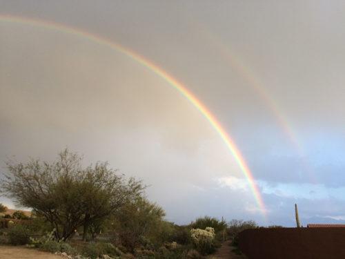 A Rainbow appears after a rain shower in Marana, AZ on January 14, 2017. (Photo by Taylor Dayton)