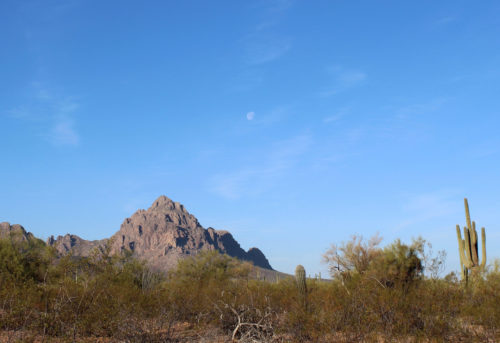 Ironwood National Monument Photo By: Miranda Rodriguez/ Arizona Sonora News Service