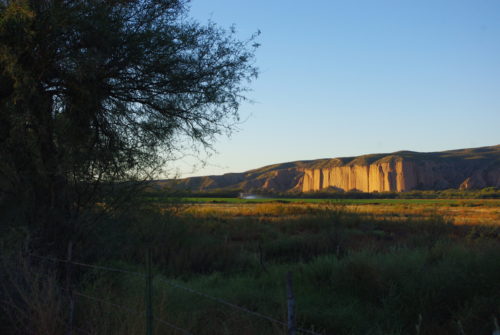 Saguaro Junipers land is located along the San Pedro River near Cascabel, Arizona. (Photo by: Michaela Webb/Arizona Sonora News Service)