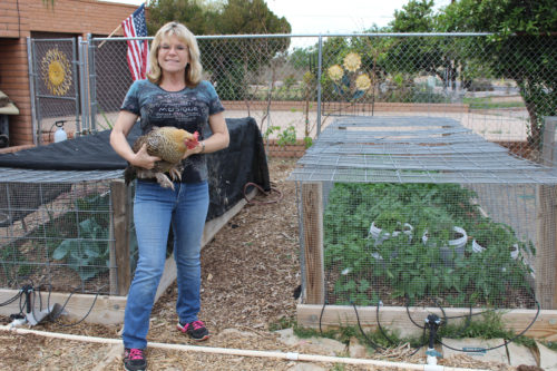 Donna Bruce holding one of her chickens, in front of her plant beds, on her farm Sharing Lifes Abundance (Photo by: Amanda Sladek / Arizona Sonora News).