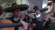 Multimedia video: Mariachi Azteca de Oro