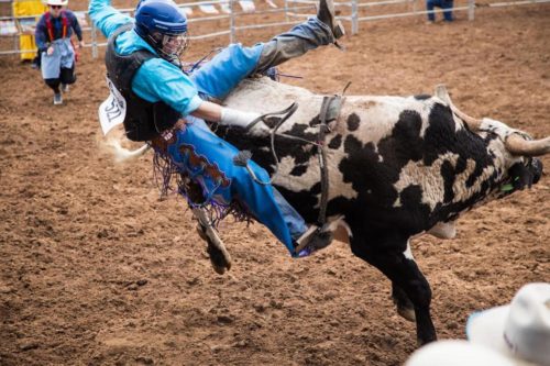 Bull rider hangs on for dear life at the 2018 Tucson Rodeo (Photo by: Mike Sultzbach)