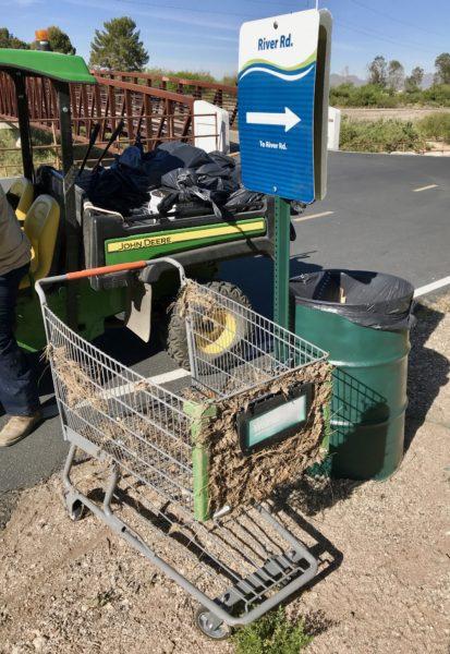 Tucson's ubiquitous shopping cart