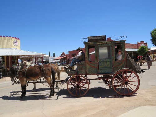 On a stagecoach tour of the town, a visitor pokes her head out of the window. Sights like this are common in Tombstone. (Photo by: Kaleigh Shufeldt/Arizona Sonora News)