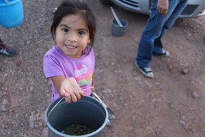 A young girl presents her cholla buds that she just harvested. Photo courtesy of TOCA. 