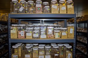 Part of Native Seeds/SEARCH's collection. Photo by: Gareth Farrell / Arizona Sonora News Service