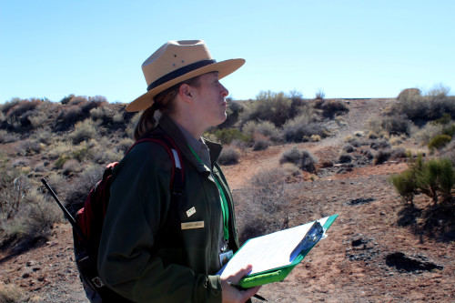 Petrified+National+Park+Ranger%2C+Lauren+Carter%2C+gazes+out+at+the+vast+wilderness++as+she+watches+a+bird+fly+across+the+blue+sky.+Lauren+is+developing+a+new+program+for+school+field+trips%2C+to+the+park%2C+that+will+launch+in+April.+%28Photo+by%3A+Sara+Cline%29