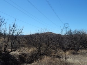 Existing power lines running through the San Pedro River Valley 