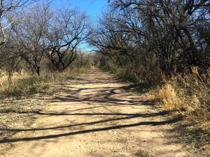 A piece of the Anza trail that is partially shaded by mesquite trees. (Photo by: Sara Cline)
