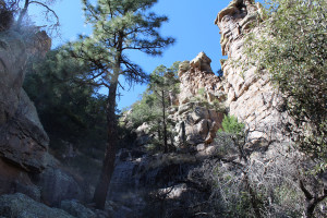 Cimas de pináculos y pilares se esconden arriba de las Montañas de Chiricahua.