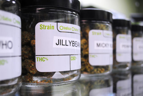 Jars+of+different+strains+of+marijuana+at+The+Downtown+Dispensary+in+Tucson%2C+Ariz.+on+September+14%2C+2016.+The+dispensary+carries+a+variety+of+forms+and+types+of+marijuana+from+the+traditional+flower+to+edibles+and+concentrates.+%28Photo+by+Jacquelyn+Silverman+%2F+Arizona+Sonora+News+Service%29