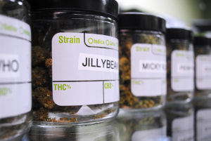 Jars of different strains of marijuana at The Downtown Dispensary in Tucson, Ariz. on September 14, 2016. The dispensary carries a variety of forms and types of marijuana from the traditional flower to edibles and concentrates. Jacquelyn Silverman / Arizona Sonora News Service