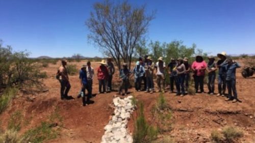 BECY interns restoring an ecosystem. (Photo courtesy of Borderlands Restoration Network).