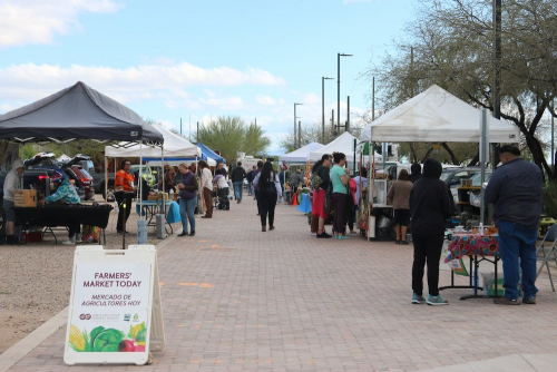 A Sun Link ride away: Farmer’s market offers local and affordable food for students