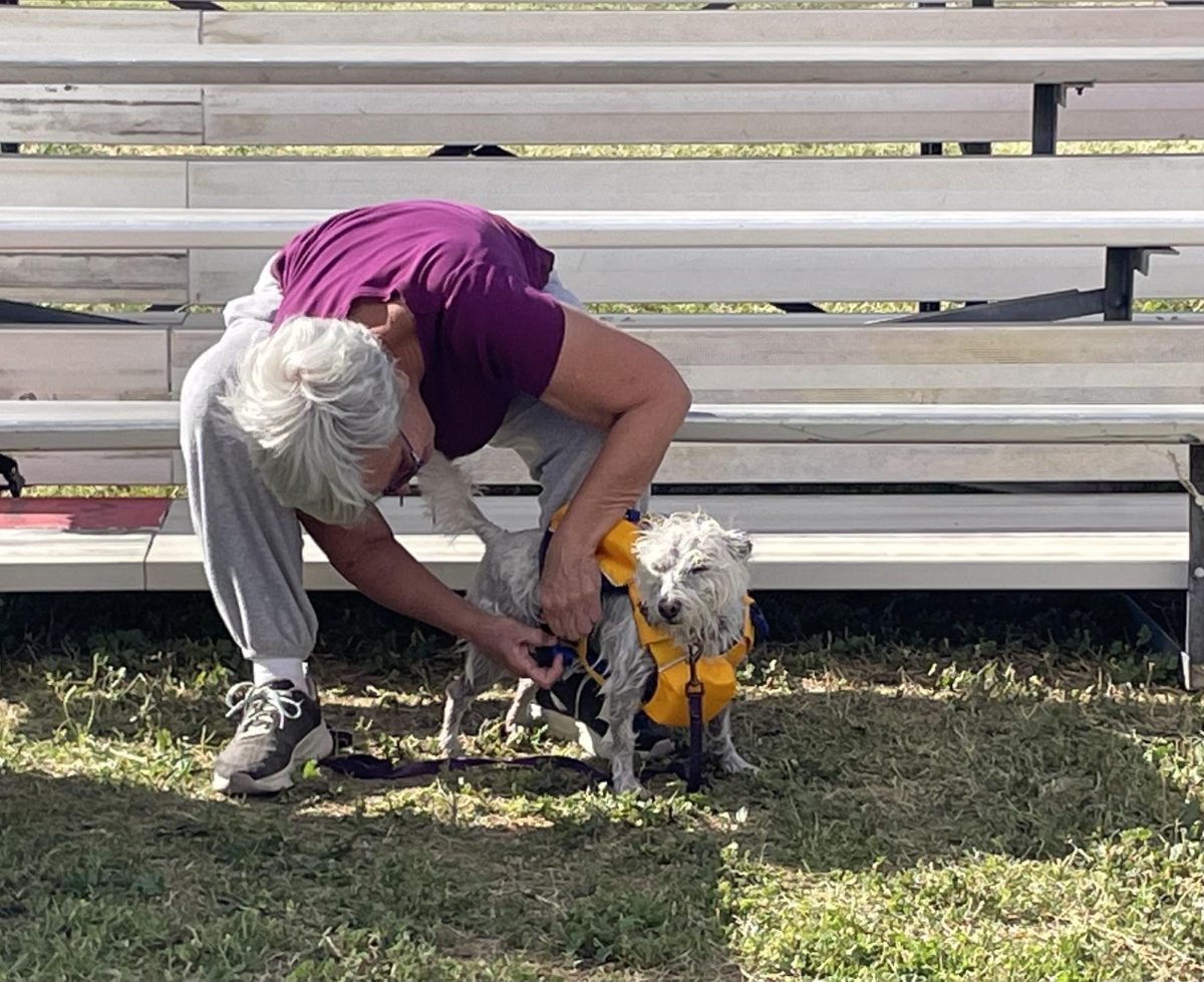 From the Coyote Classic Dog Show last weekend. 