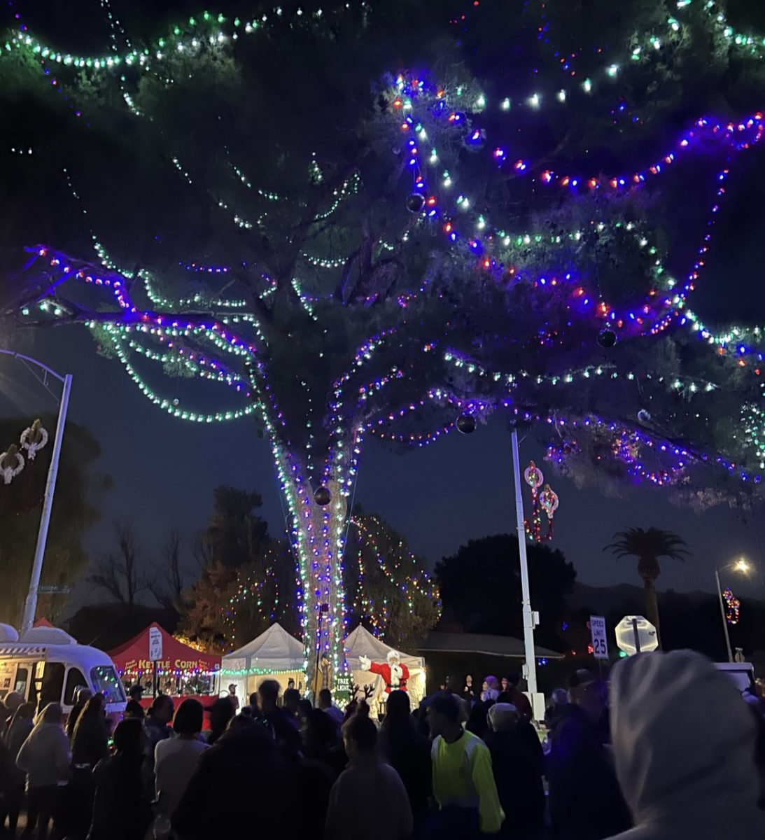 Visitors walk around the Winterhaven neighborhood during the Winterhaven Festival of Lights. 