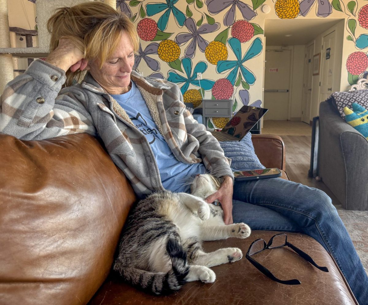 Rachel Tomlinson, a worker at Hunter’s Kitten Lounge, sits on a couch inside the lounge while Bojjie cuddles on her lap on Jan. 30, 2025. Bojjie is a non-adoptable cat at the lounge due to his special needs requirements.