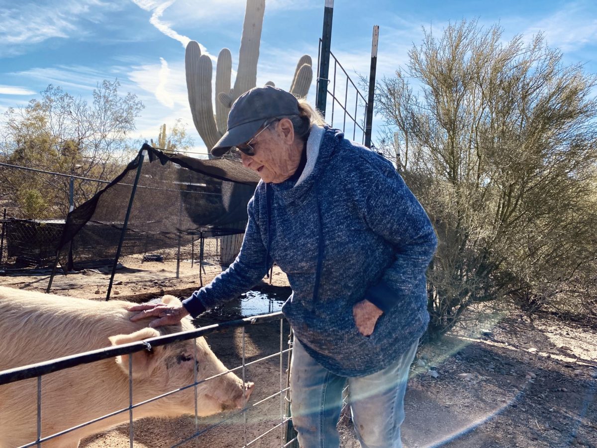 In November, Schanz marks her 25th anniversary running Ironwood Pig Sanctuary. Photo by Laura Holánszky
