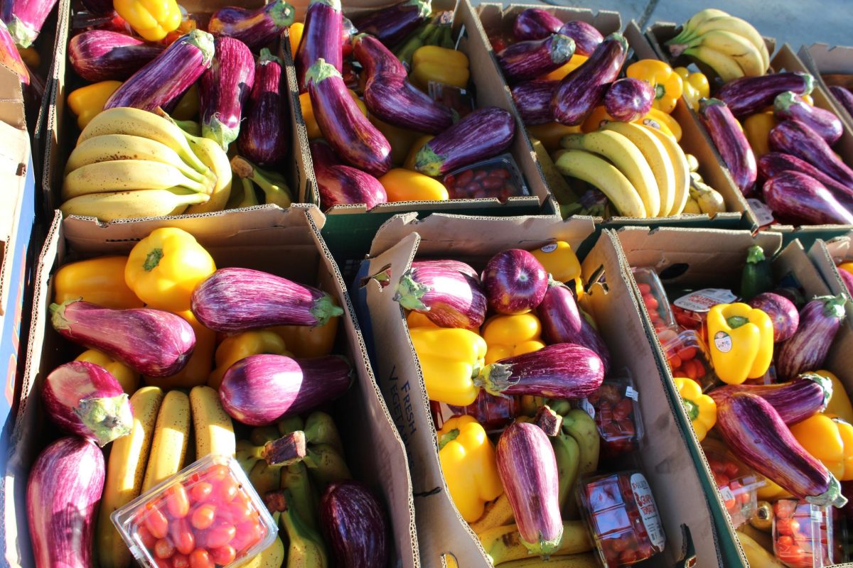 Cajas de productos rescatados esperan para ser distribuidas durante un evento P.O.W.W.O.W. de Borderlands Produce Rescue en Tucson, Arizona, el sábado 7 de diciembre de 2025.