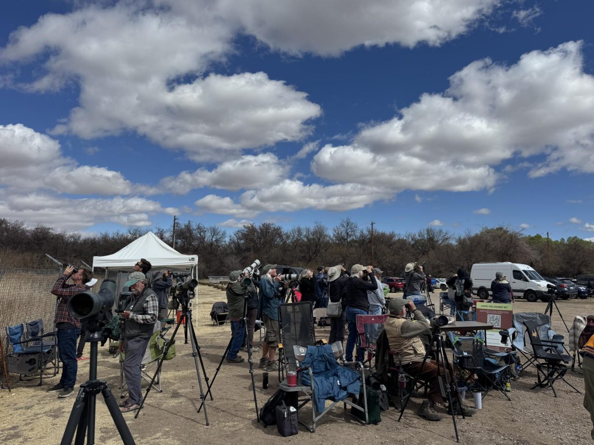  Attendees scan for birds at Ron Morris Park in Tubac, Ariz. at Hawkwatch Festival in 2025. Birdwatchers from more than 35 states and five countries came to the event in 2025. (Photo by Melissa Marshall).